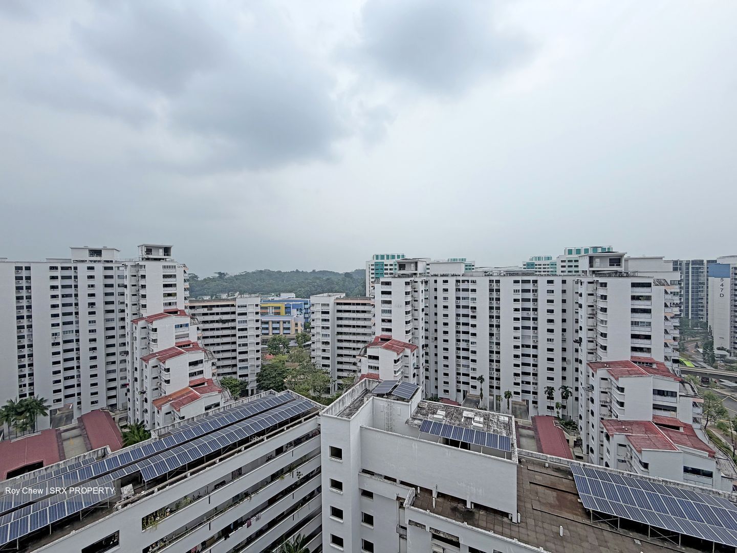 Blk 516 Pangshan Valley (Bukit Panjang), HDB 4 Rooms #621745661